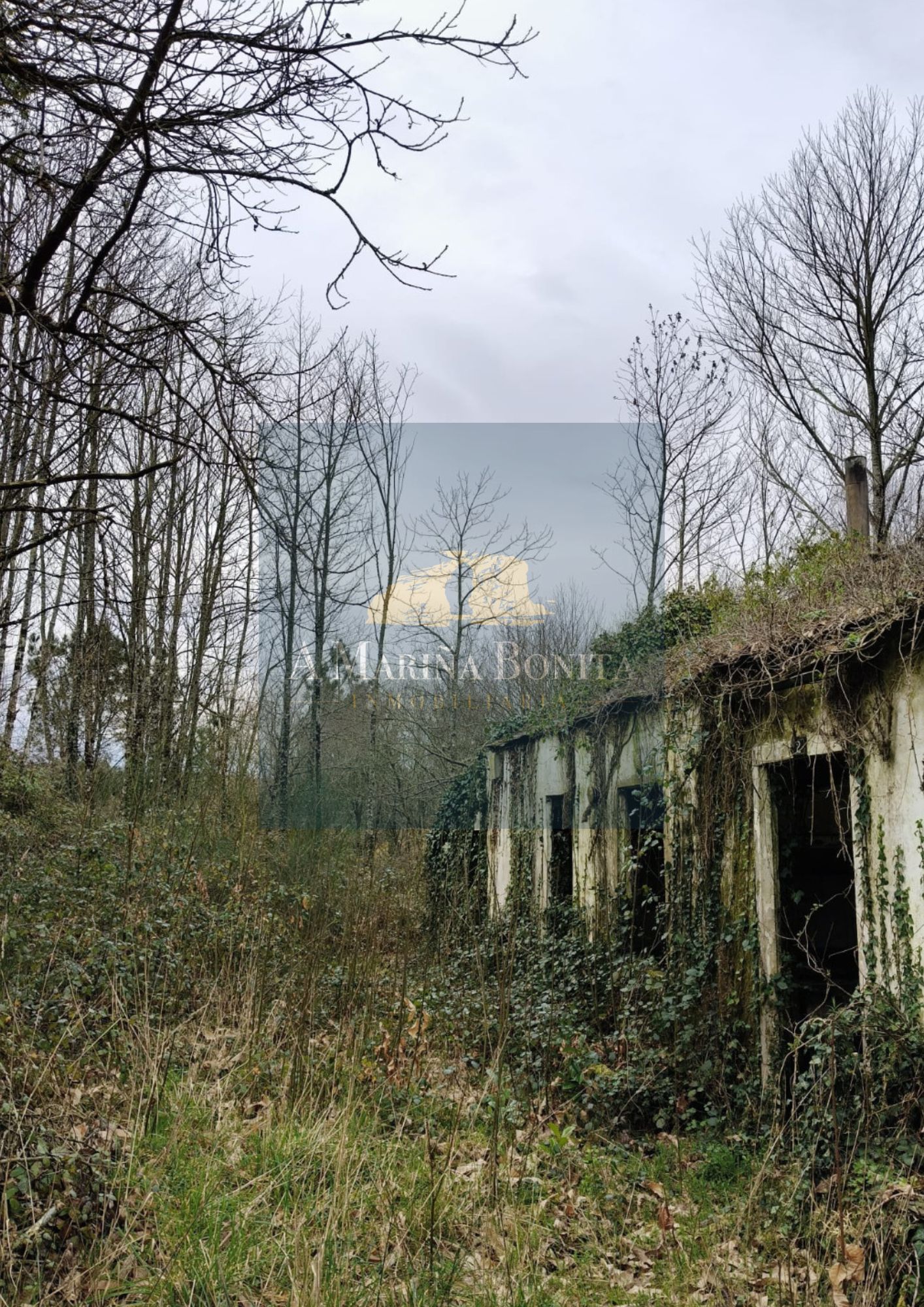 FINCA EN VENTA EN COSPEITO (LUGO) – GRAN OPORTUNIDAD